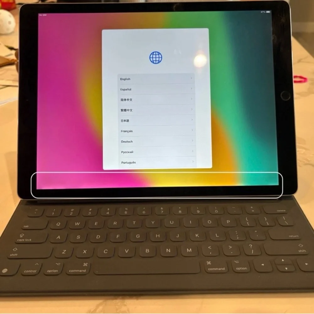 Apple iPad Pro 12.9-inch (2nd gen) 64 GB, Wi-Fi + 4G unlocked (bundled)case/pen